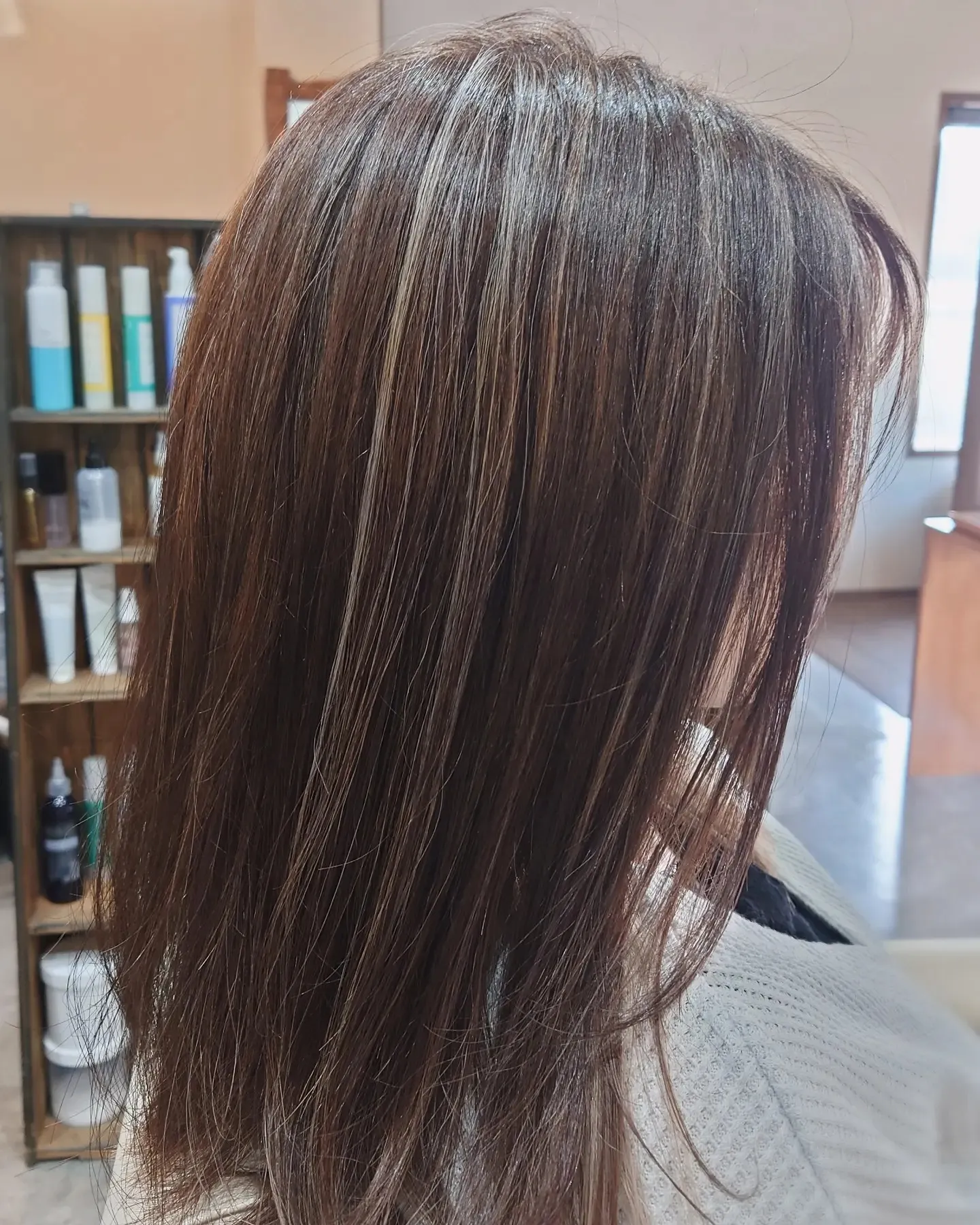 メッシュ