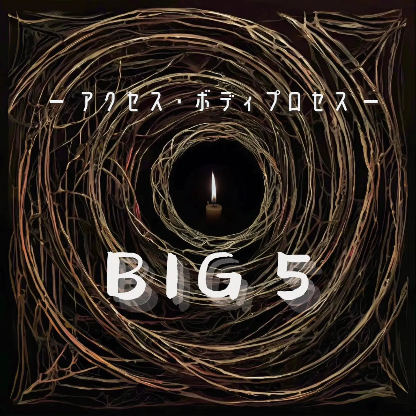 アクセス・ボディプロセス